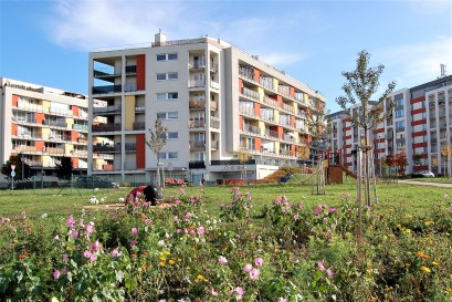 Omezení ČNB odřízlo od hypoték téměř polovinu klientů