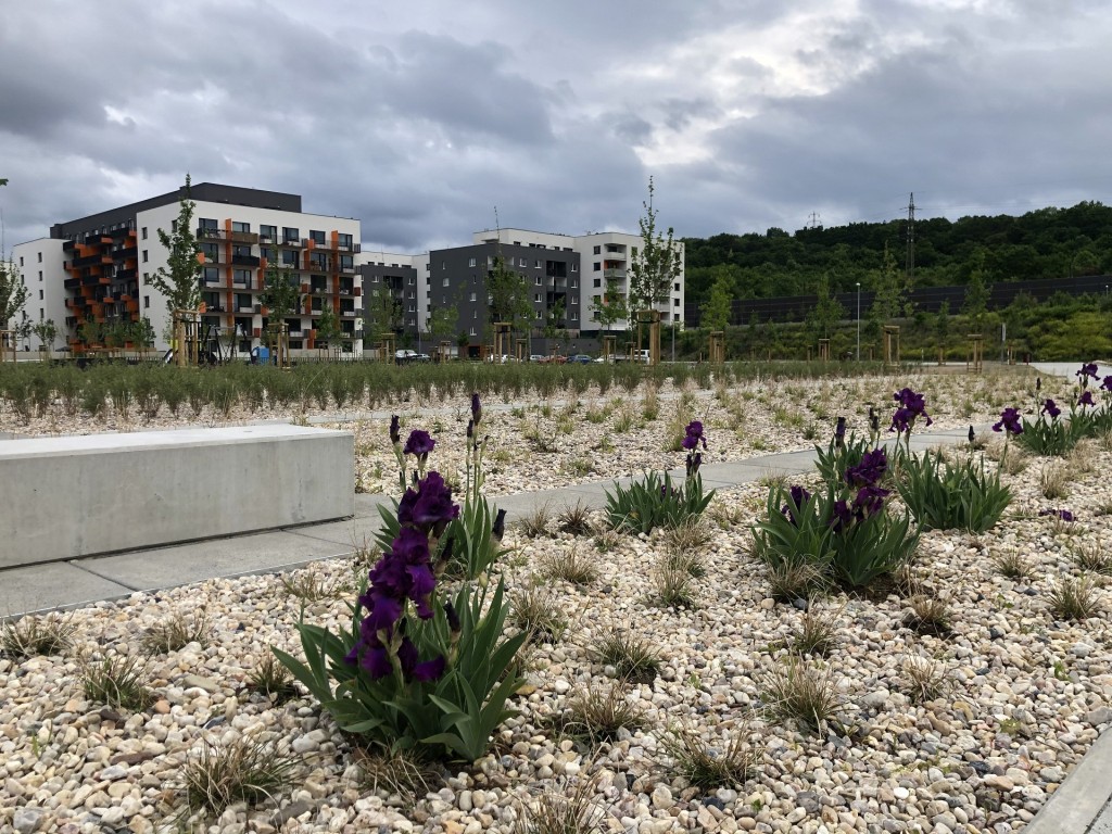 Obyvatelům AFI City začal sloužit veřejný park. Developer projektu AFI Europe hledá provozovatele pro zahraní restauraci.